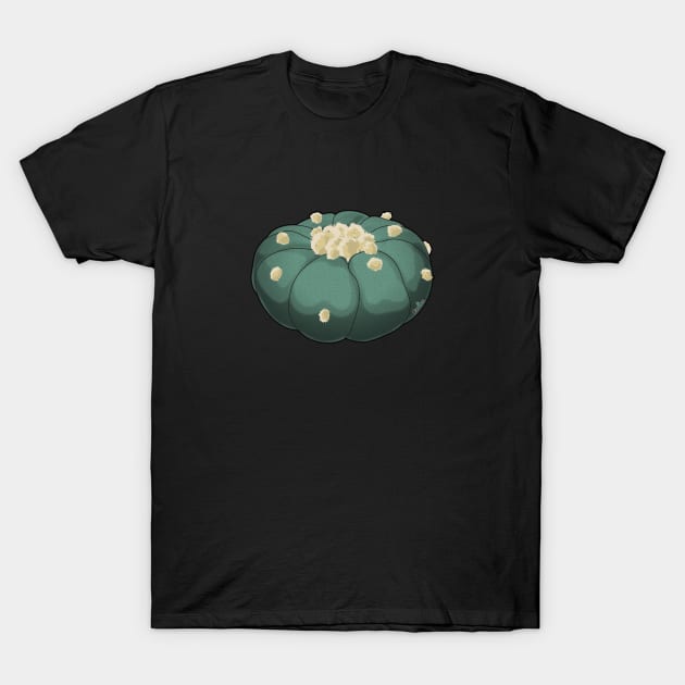 Lophophora Williamsii 3D Peyote T-Shirt by Cactee